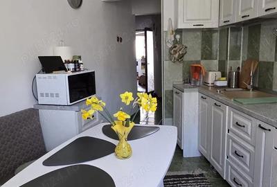 Apartament cu 2 camere decomandat în Cetate - 10