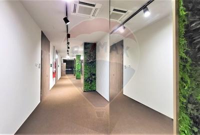 Birou, de 57 mp, în Gruia - 13