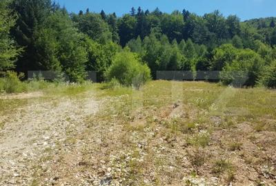 Teren de 1200 mp, în Central