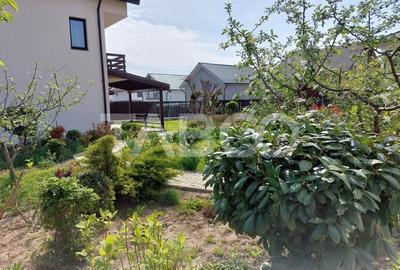 Casa de inchiriat cu 5 camere si 780 mp gradina langa padure in Sibiu - 38