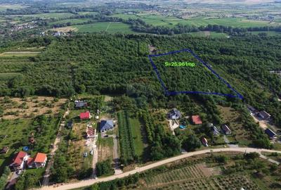 OPORTUNITATE PENTRU DEZVOLTATORI Teren de vanzare - Satu Nou de Jos