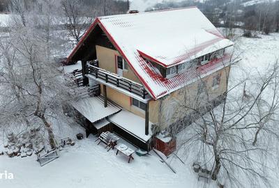 Teren de 17500 mp, în Tazlău - 3