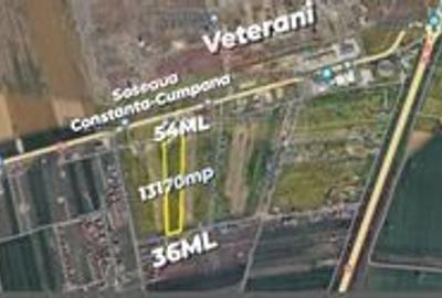 Teren Construcții intravilan de 13170 mp, în Lazu