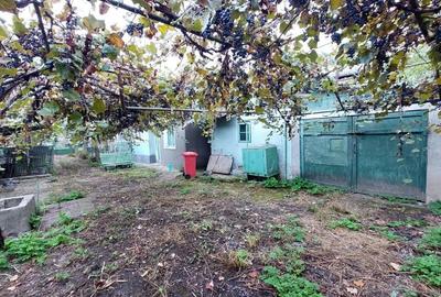 Casa cu teren, zona Tache, Bacau - 10