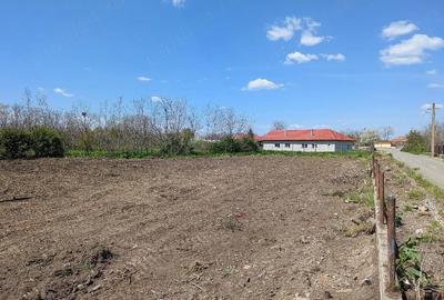 Teren de 3954 mp, în Nuntași - 6