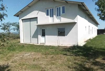 Vand hala industriala - 7