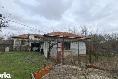 Casă cu 4 camere cu Teren 2570 Mp în Teiu - 8