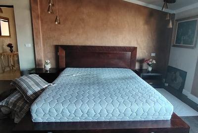 Casa 300 mp utili, 800 mp teren, Bucium - 12