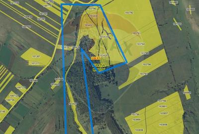 Teren agricol extravilan de 117100 mp, în Jibert - 6