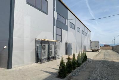 Hala industriala independenta energetic 600 mp judetul Sibiu - 3