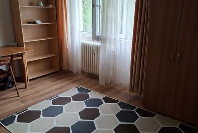 Garsonieră semidecomandată în Dristor - 5