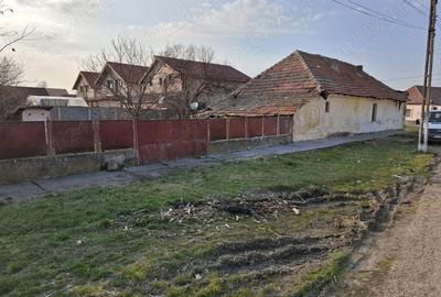 Casă cu Teren 487 Mp în Săcălaz