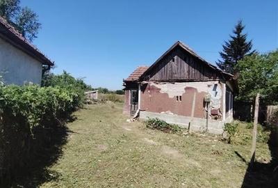 RECO Teren intravilan in Paleu la doar  22euro/mp - 3