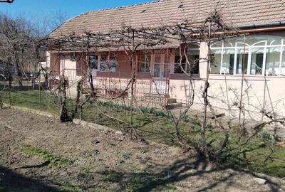 Casă cu 2 camere cu Teren 560 Mp în Morești - 6