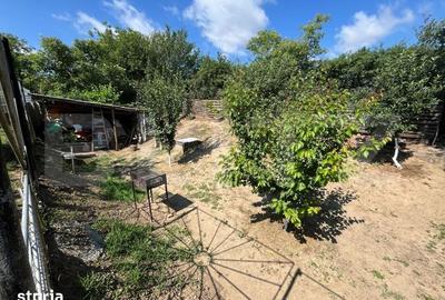 Casă cu 3 camere cu Teren 600 Mp în Paleu - 3