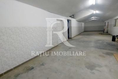 Spațiu industrial, de 850 mp, în Ineu