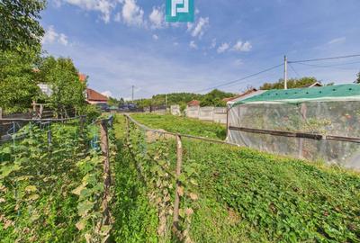 Casă individuală cu 2 camere cu Canalizare în Lazuri - 11