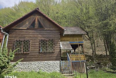 Casă cu 5 camere cu Teren 900 Mp în Ighiu - 7