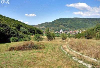 Teren de 30000 mp, în Nord - 4