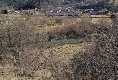 Teren de 28000 mp, în Tulgheș - 5