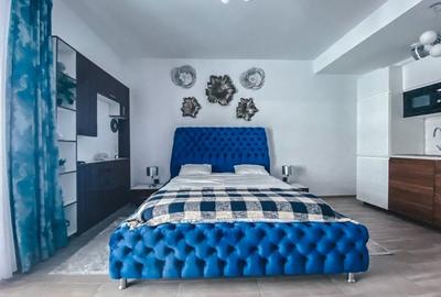 Inchiriere studio lux Mamaia Nord - 2