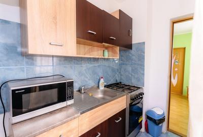 Apartament cu 2 camere semidecomandat, mobilat în Oarja - 7