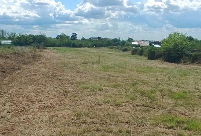 Terenuri cu suprafete intre 500 si 1500 mp in Baicoi, zona Liliesti. - 13