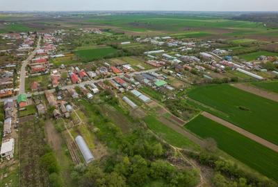 TANTAVA - GRADINARI, CASA 70 MP, LOT - 1557 MP! - 37