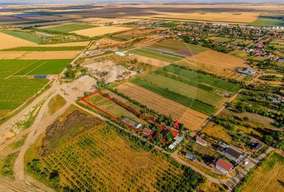 Teren intravilan de  4,000 mp in Zadareni - 6