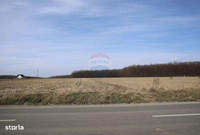 Spațiu comercial, în Bosanci - 3