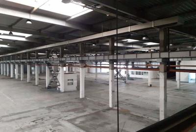 Spațiu comercial, de 20,000 mp, în Timișoara - 4