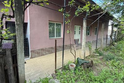 Casă cu 4 camere în Ruginoasa - 7