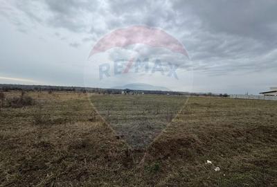 Teren Construcții intravilan de 750 mp, în Fântânele - 1