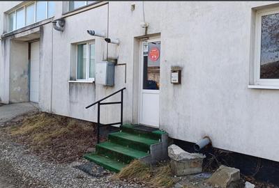 Spațiu industrial, de 870 mp, în Uzina 2 - 23