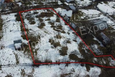 Teren de 3011 mp, în Bradu - 6