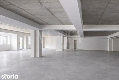 Spațiu comercial, de 550 mp, în Plopilor - 1