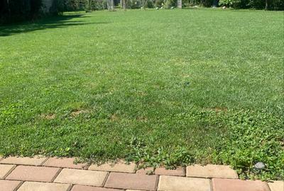 Casă cu 4 camere cu Teren 1200 Mp în Hemeiuș - 2