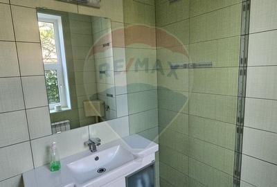 Vila deosebita de vanzare in Chitila, la 150 m de padure, in apropiere - 28