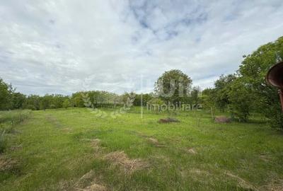 Teren intravilan cu casa renovabila | 2500mp teren | Front 21m | Aiton - 5