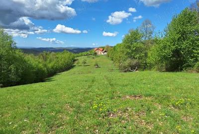 Teren de 46000 mp, în Slatina de Mureș - 3
