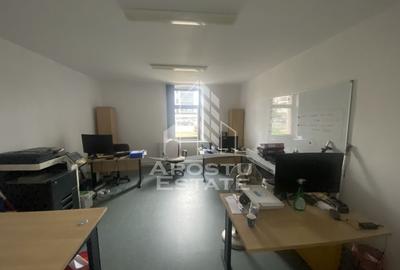 Casa în Dumbrăvița cu teren de 3039 mp și Front Stradal de 40 ml - 1