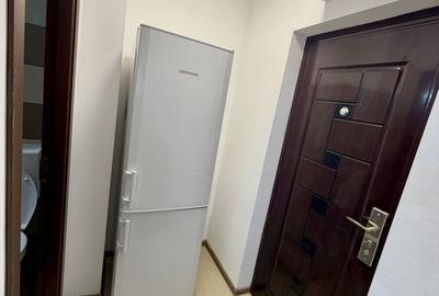 Garsonieră în Nufărul - 7