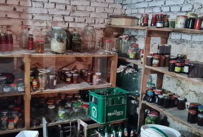 Oportunitate! Casa Bod pe un singur nivel, teren 980 mp pivnita, garaj ,mobilata - 16