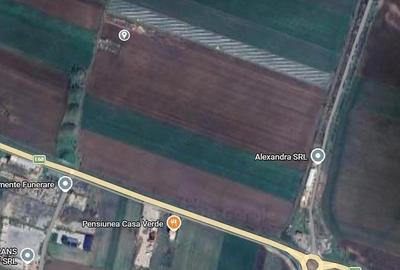 Teren de 15000 mp, în Vladimirescu - 1