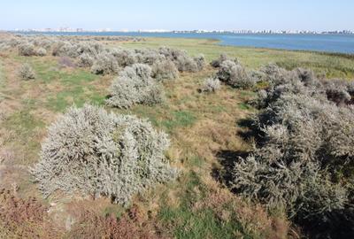 Teren de vanzare primul rand la lacul Siutghiol  Mamaia Sat - 2
