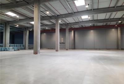 Spatiu Industrial - 5000 mp - Logistica - Productie - Depozitare - Distributie - 4