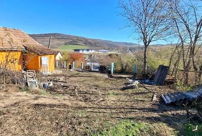 Casă cu 3 camere cu Teren 2000 Mp în Sărmășel - 2