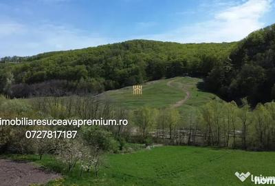 Casă cu 7 camere cu Teren 1300 Mp în Pătrăuți - 6