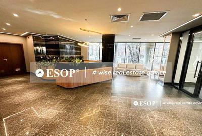 De vanzare cladire de birouri, zona Gara de Nord, ID 15054 - 18