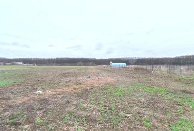 Snagov - Ghermanesti - 9247 mp teren intravilan - deschidere 33 ml - langa padur - 2